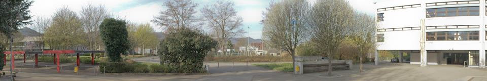 Banner Bild