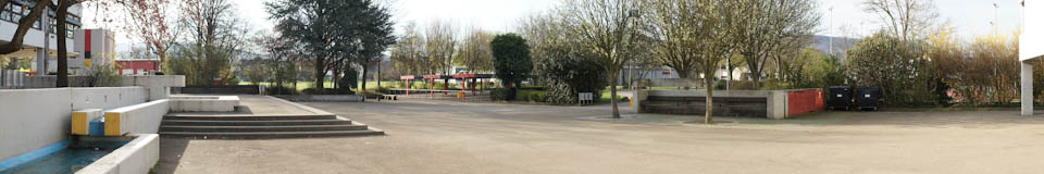 Banner Bild