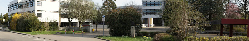 Banner Bild
