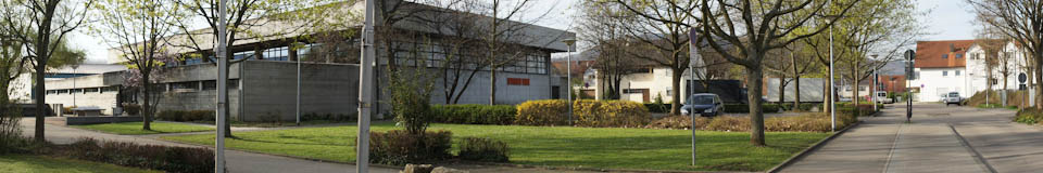 Banner Bild