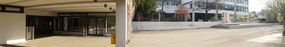 Banner Bild